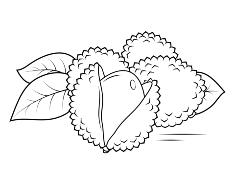 Whole And Open Lechees Coloring Page